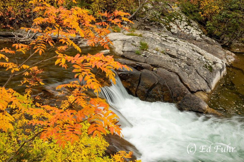 Autumn Flow