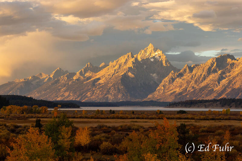 A Golden Morning