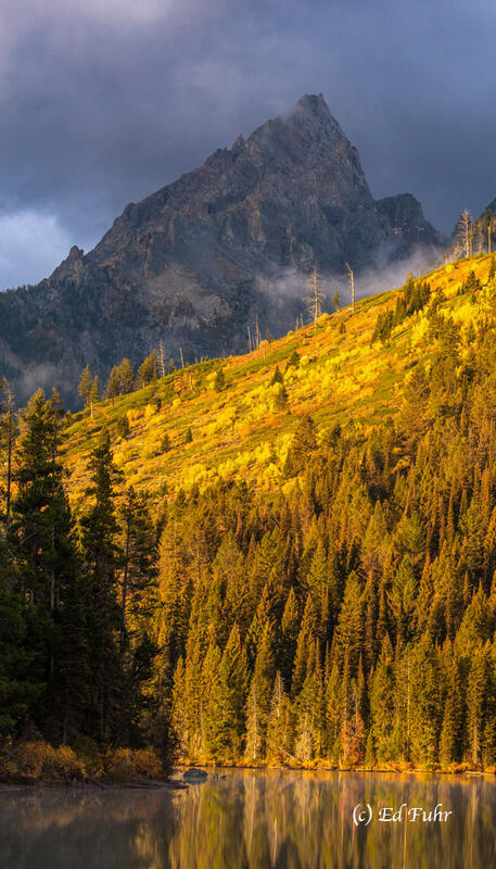 fall, autumn, 2025