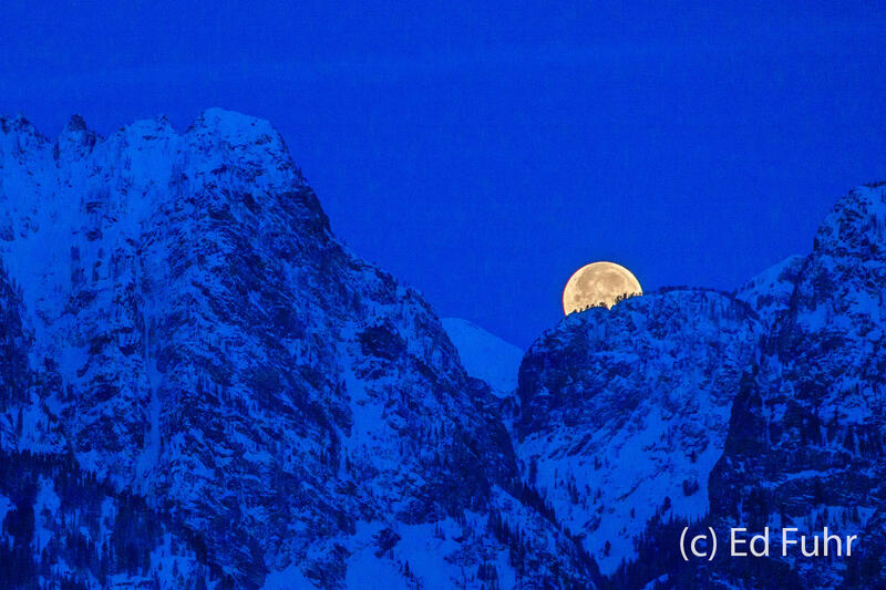 Moon Farewell