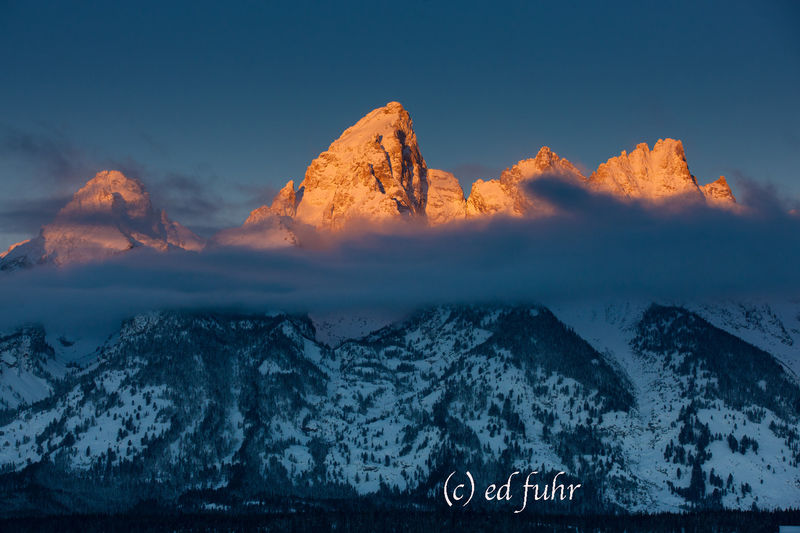 Golden Tips Above the Clouds