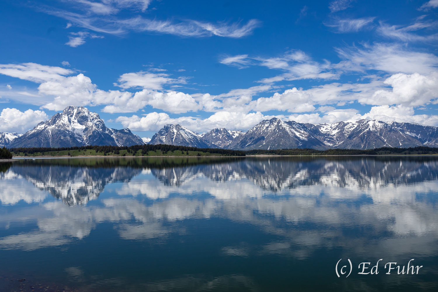 Jackson Lake Reflection Filled again by winter's melt, Jackson Lake has been restored to its glory, especially spectacular this late spring morning as...