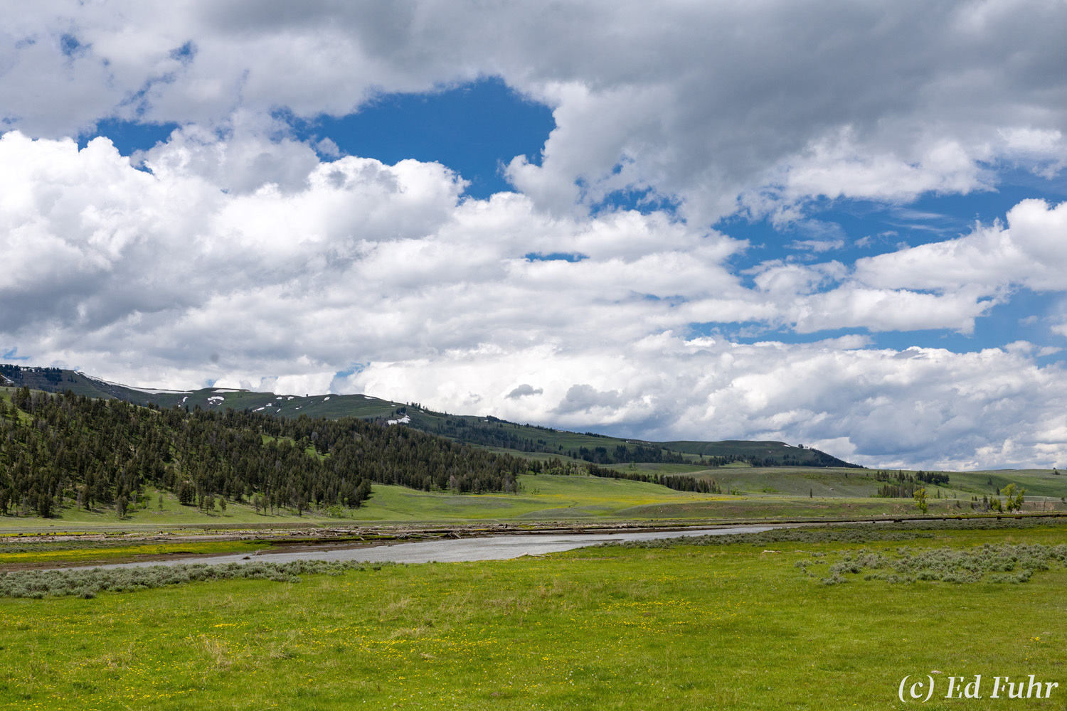 It is hard to describe the immense scope, sweep and sensation that is the Lamar Valley, especially in spring when everything...