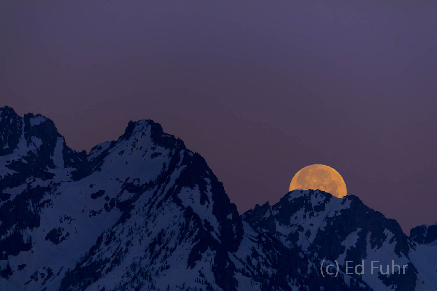 Halfway set over the Teton range, a blue moon fades as the predawn sky begins to light.