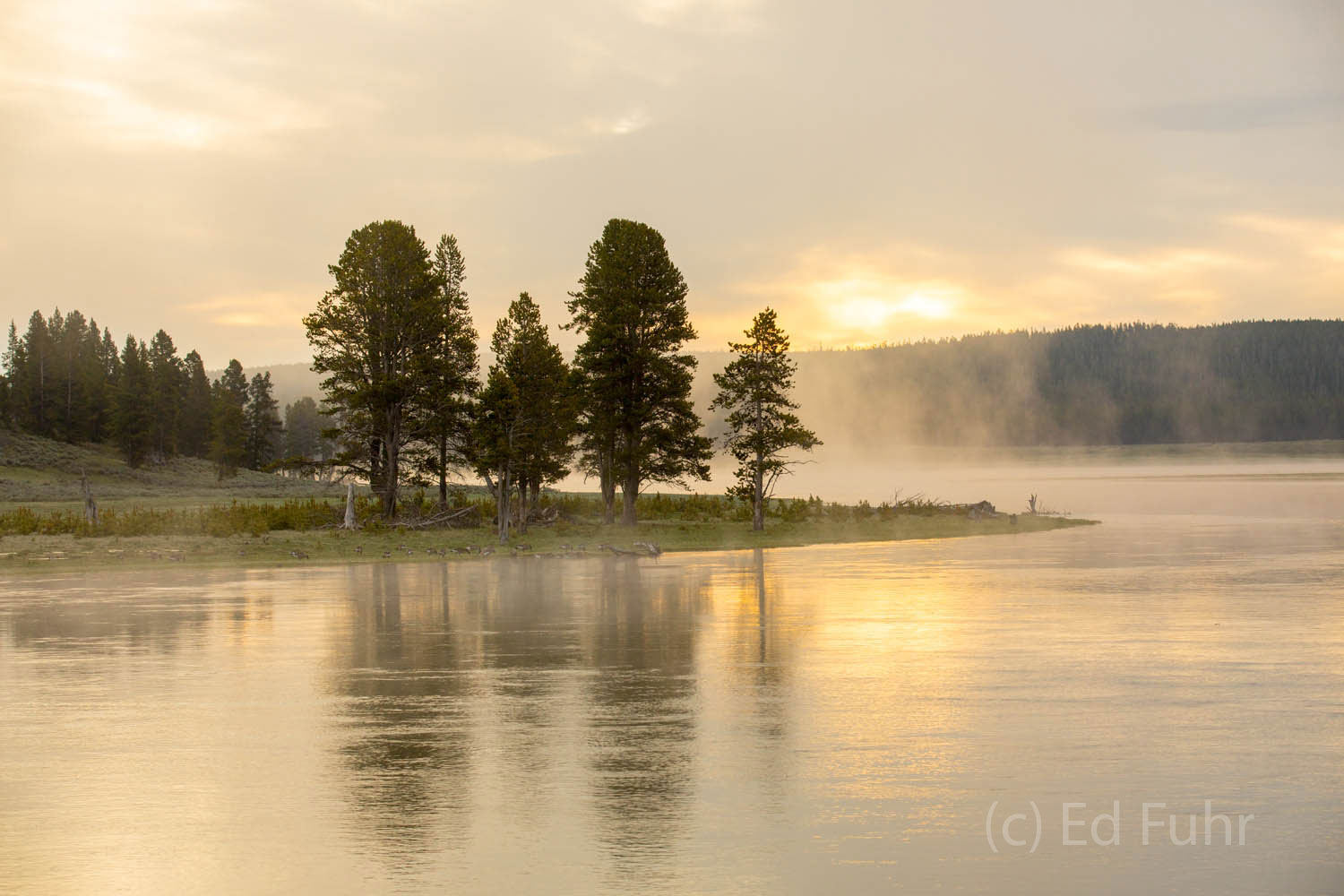 Sunrise on Alum Creek Near the north end of the Hayden Valley, Alum Creek empties into the Yellowstone River. Because of the cool water temperatures...