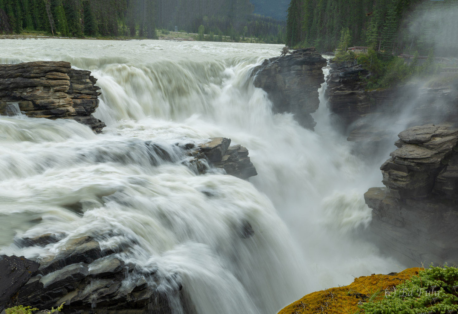 Athabasca Falls is a gorgeous and powerful waterfall, with a stunning backdrop of forests and mountains.