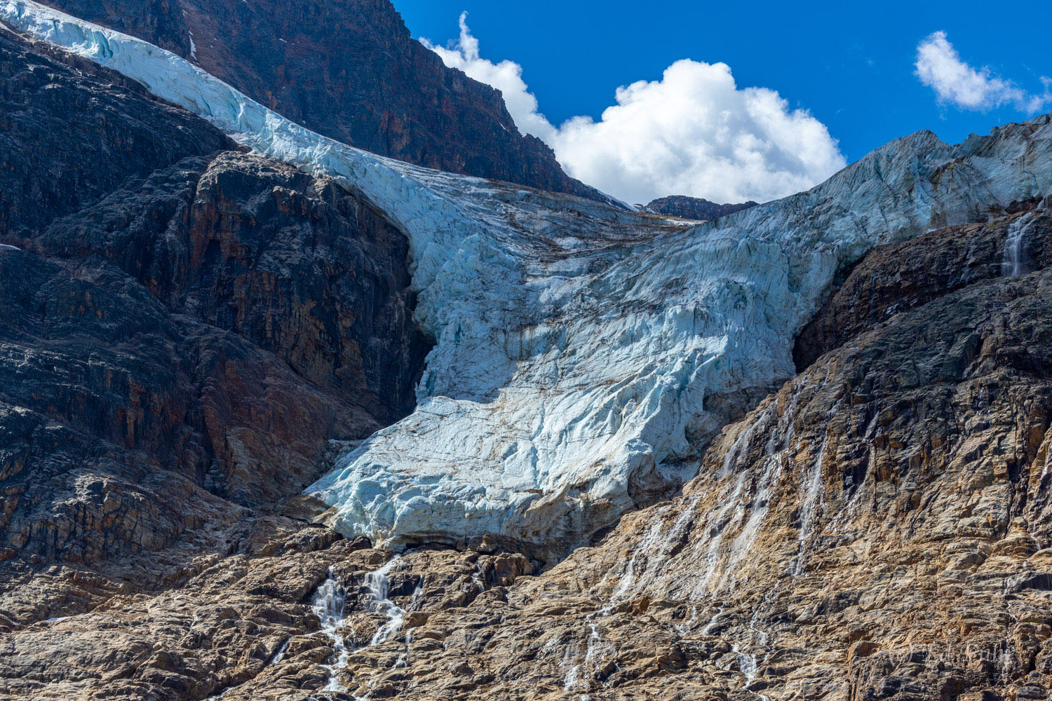 Edith Cavell Glacier A glacial tongue hangs from Edith Cavell above the iceberg strewn lake below.