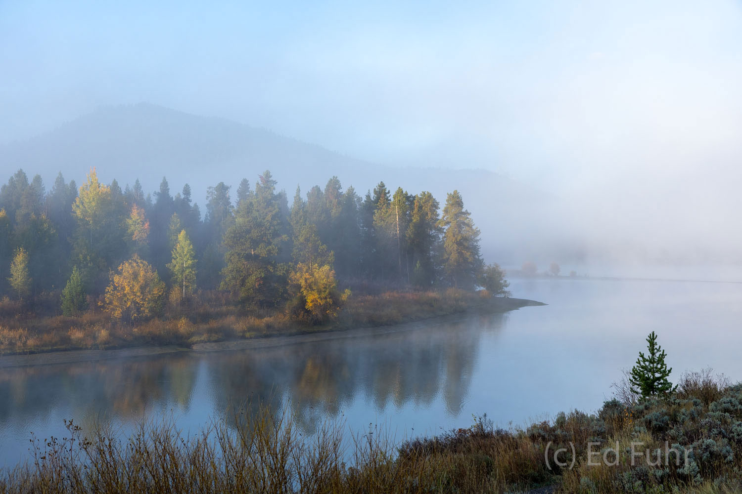 With heavy fog cloaking this quiet stretch of water,  Moran Moran and the surrounding hillsides of aspen can only be imagined...