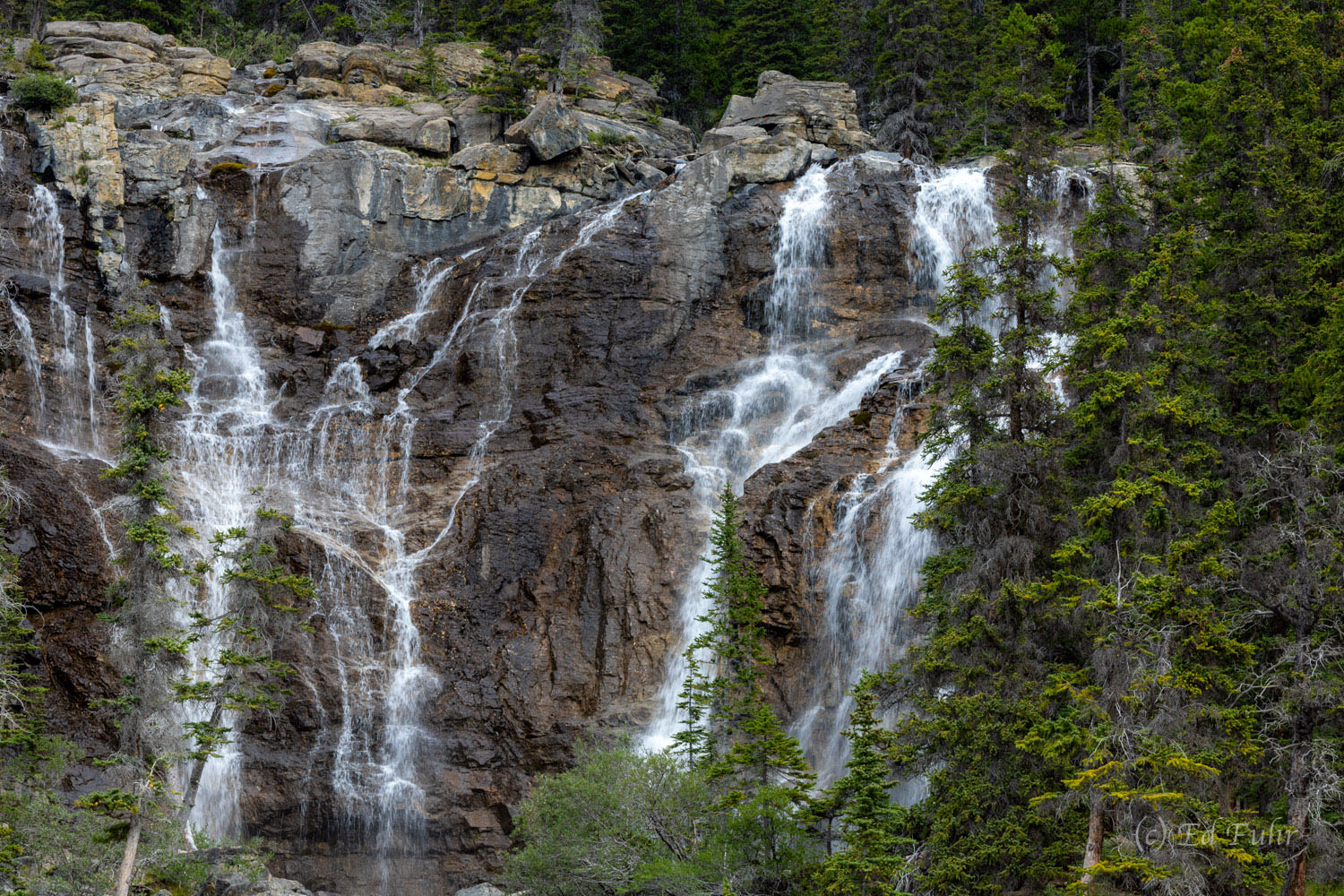 Waters tumbles down from Cirrus Mountain above and the Weeping Wall along the amazing Icefields Parkway.