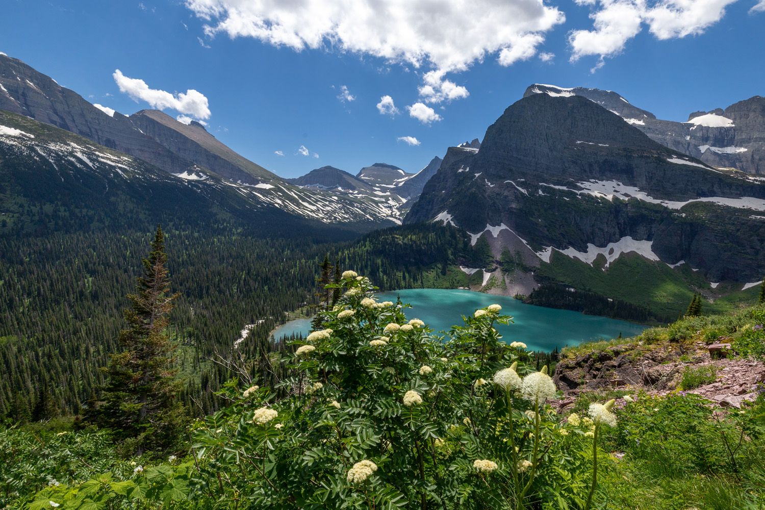 Wildflowers abound high above Grinnell Lake as Angel Wing summit looms.  In early summer nearly two dozen waterfalls flow from...