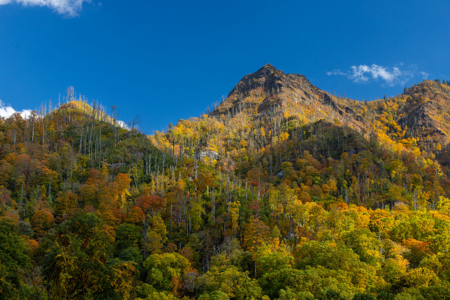 The Chimneys offer one of the great hiking experiences and in autumn it often features glorious color.