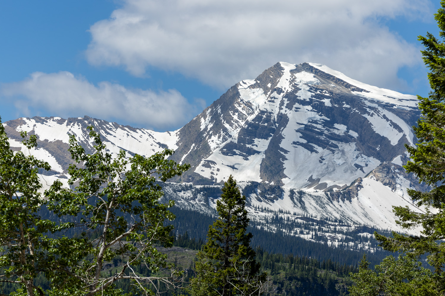 Even in mid July, significant snow clings to Heaven's Peak.  At nearly 9000' it is the highest of four peaks that divide McDonald...