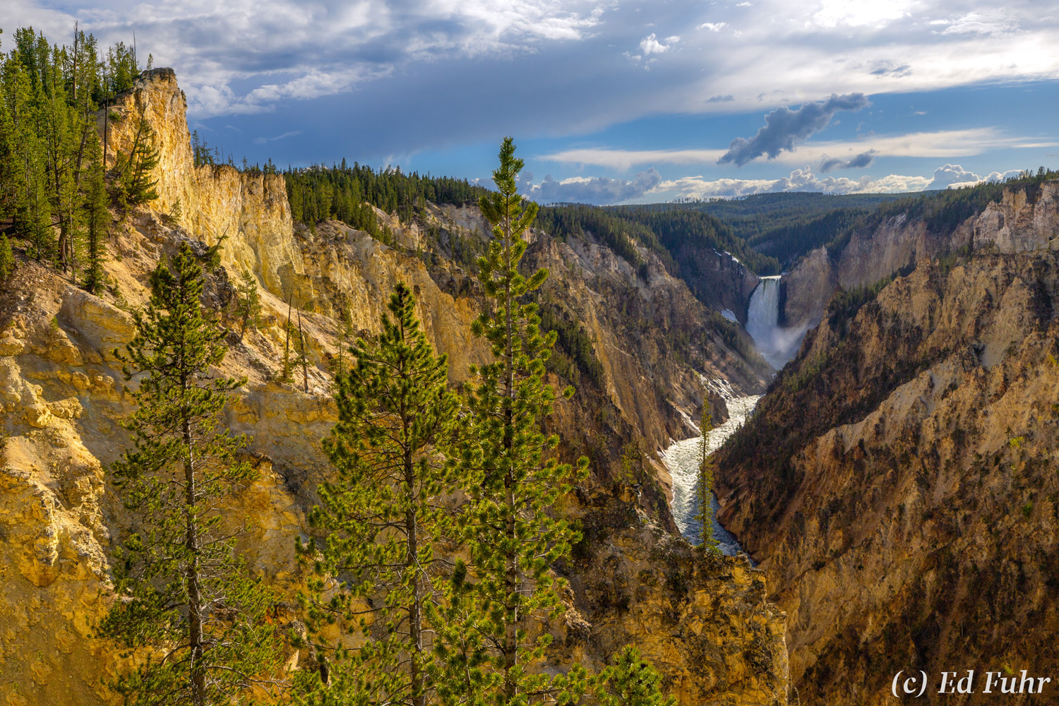 Evening lights brings added warmth to the limestone and shale rock of the Grand Canyon of Yellowstone, with Lower Falls in the...