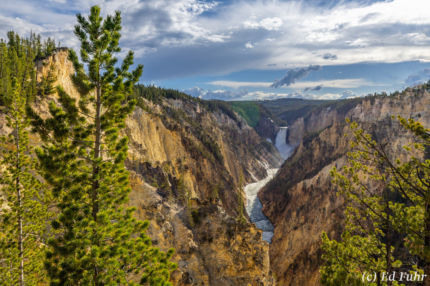 What Must They Have Thought? The iconic view of the Grand Canyon of the Yellowstone from Artist's Point, with the Lower Falls and the dramatic cliffs of the...