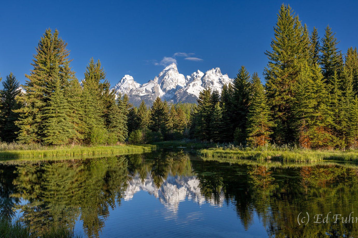 Still waters, bluebird blue skies, and winter's receding coat of snow create a gorgeous moment at the beaver ponds at Schwabacher...