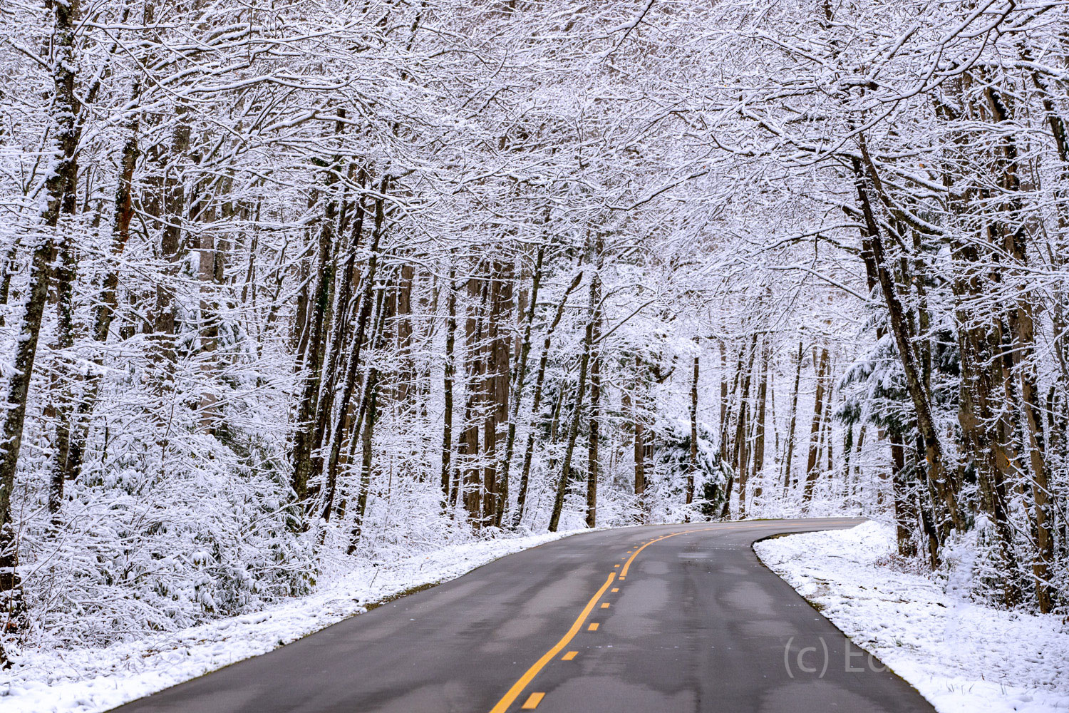 Laurel Creek road leads to Cades Cove.  Normally crowded it is deserted this day after a recent snow.