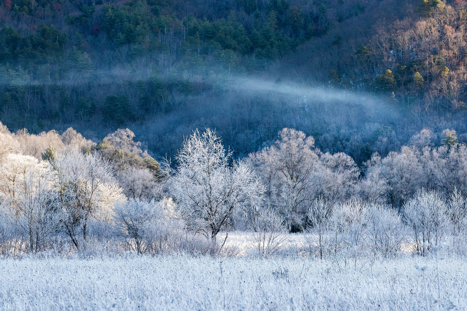 In the quiet just after dawn, layers of fog, hoar frost and the remnants of an early December snow beckon in Cades Cove, Great...