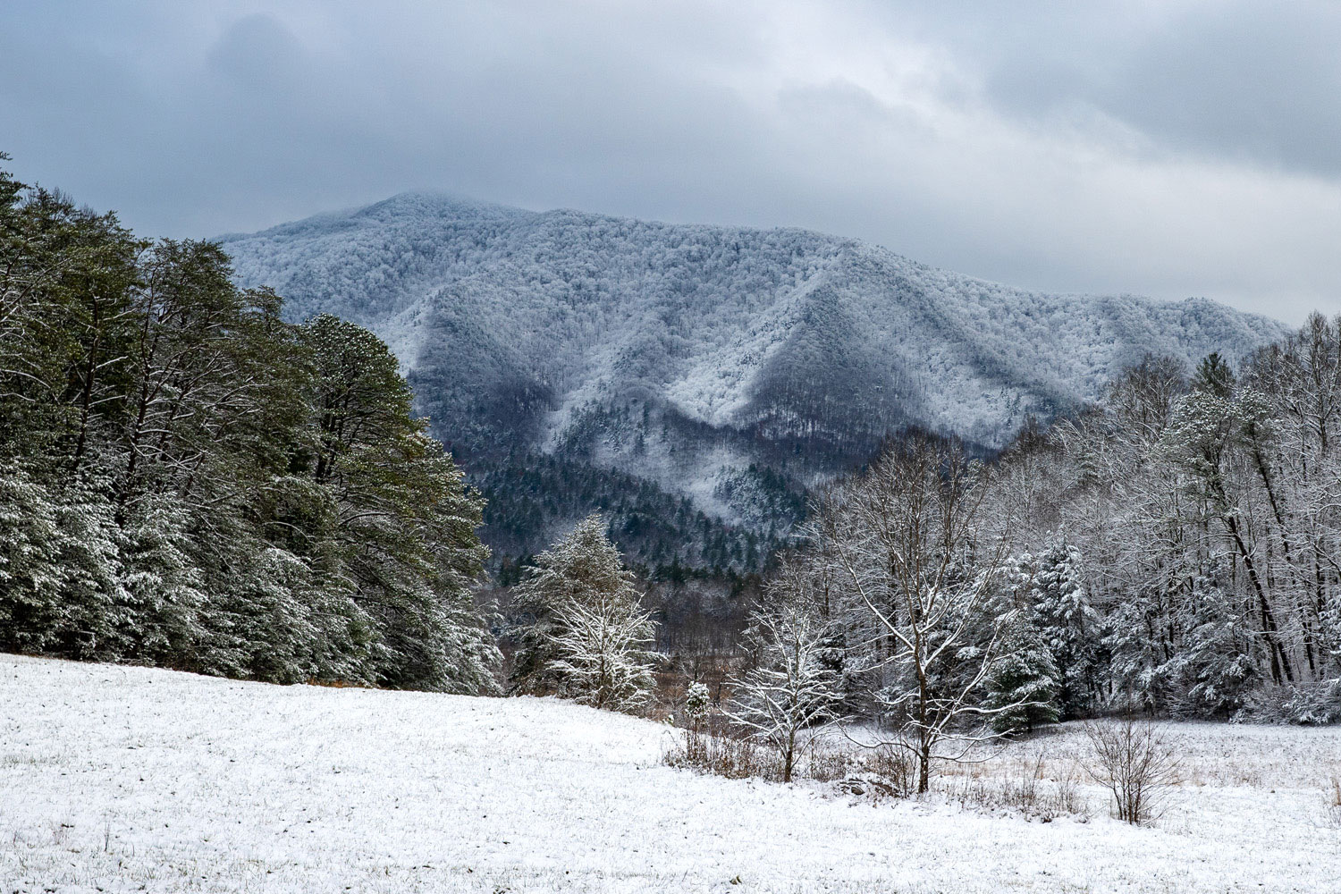Cades Cove is quiet and still under slate gray skies and a fresh coat of snow.