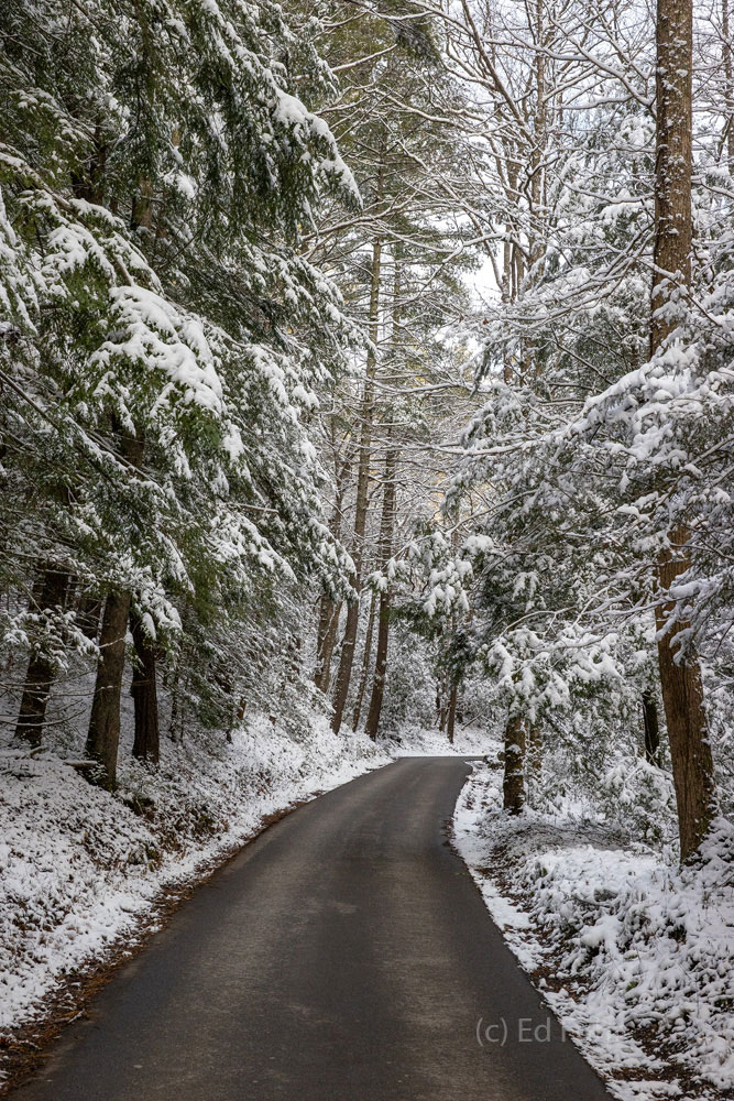 With the roads closed, Cades Cove is stunningly quiet on this winter morning.