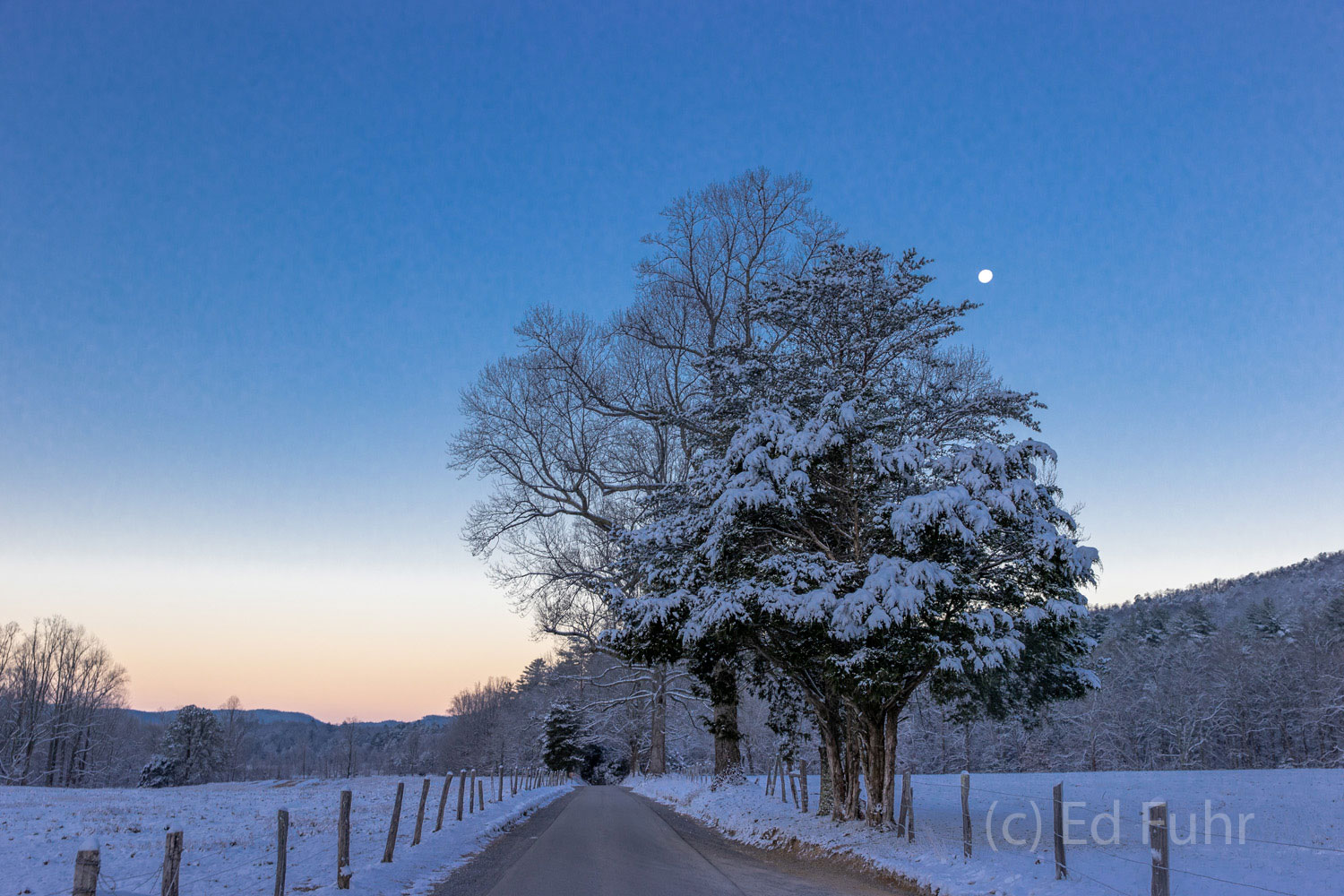 A distant moon twinkles in the pre-dawn cool, high above Cades Cove, Great Smoky Mountains. Winter's first snow has coated the...