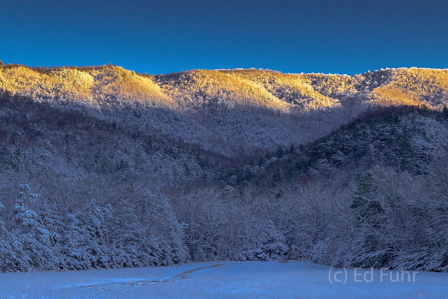 One of the oldest historical structures in the Park, John Oliver cabin sits quietly in the snow and shade as dawn breaks above...