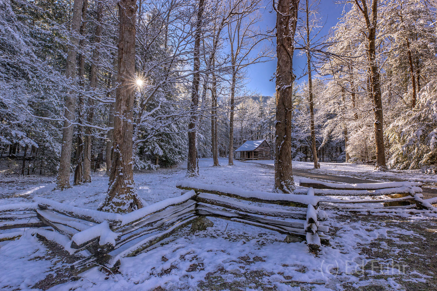 Set in the shade of a beautiful clearing, the Carter-Shields cabin sits quietly, peacefully in a glen of trees cloaked in an...