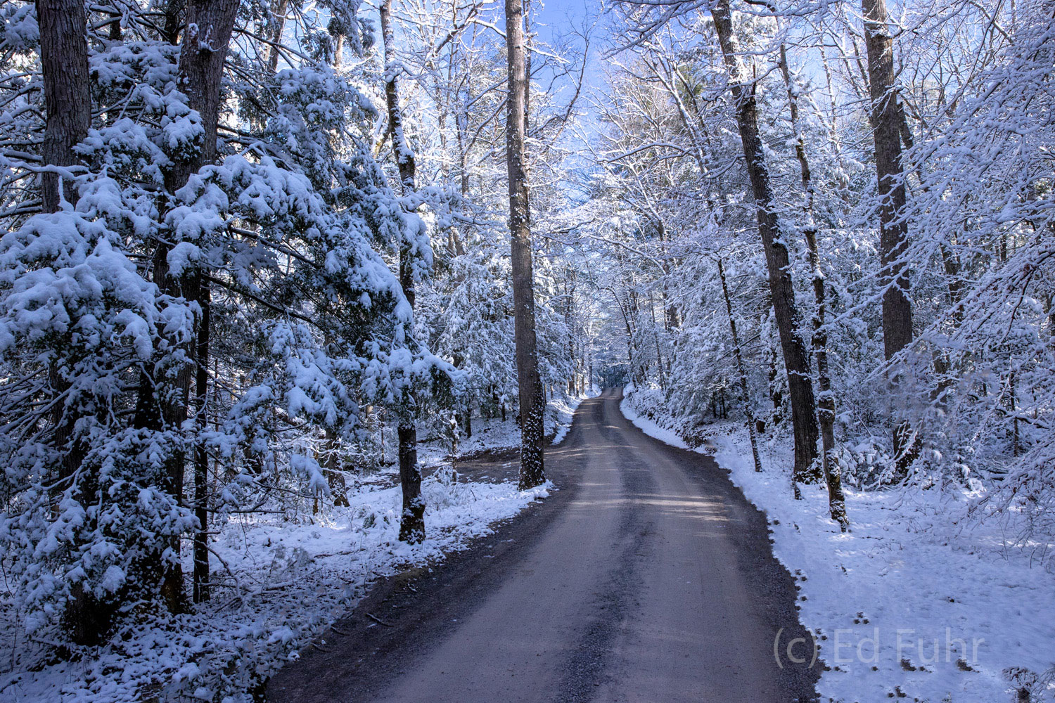 A quiet winter walk in winter through the snow.