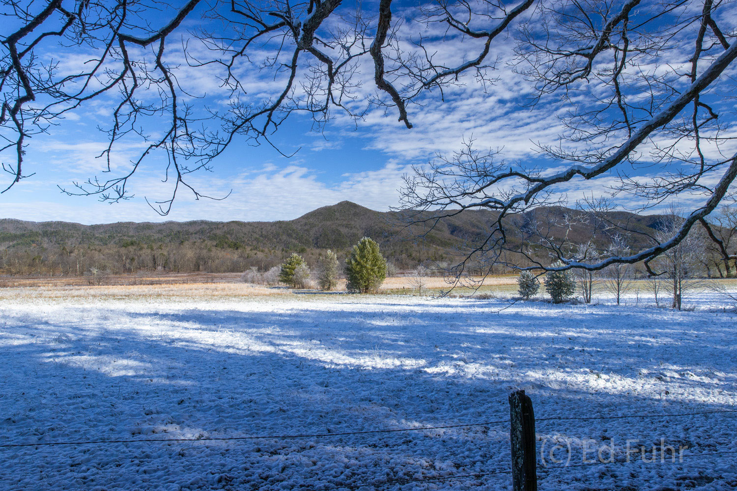 Yesterday's snow has largely melted across the cove except in the shade of some oaks and maples.