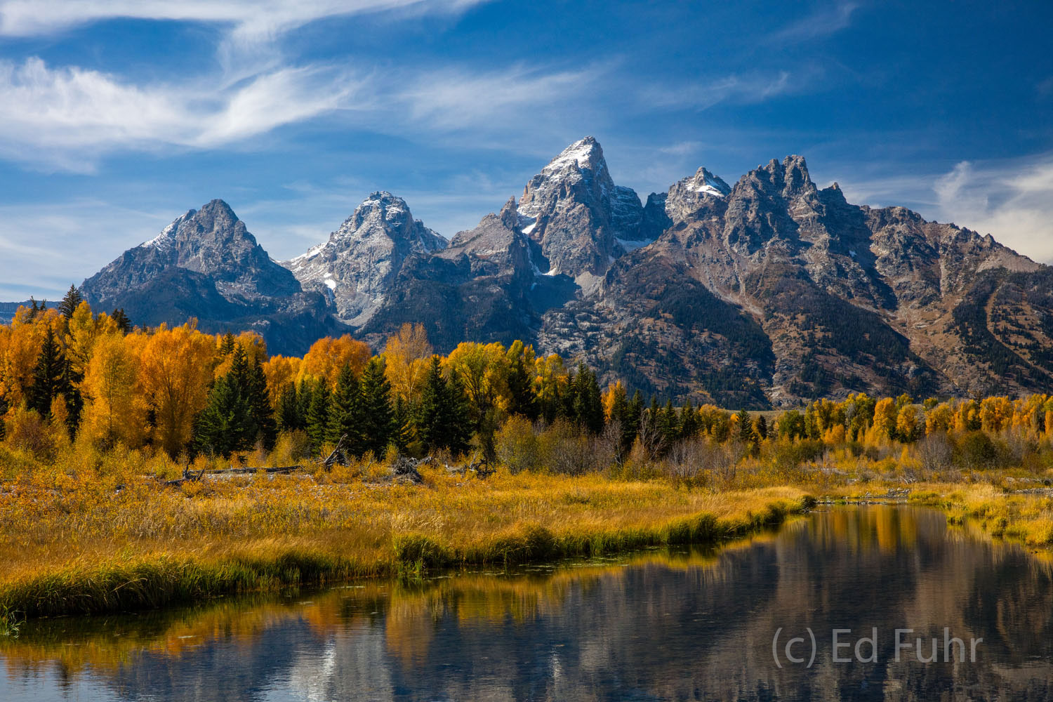 High Noon Midday at Schwabacher