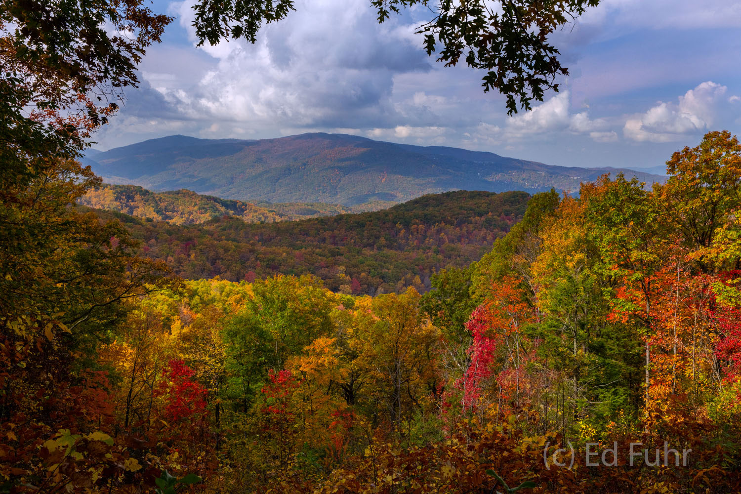 Autumn Overlook, 2016 Roaring Fork Overlook, 2016