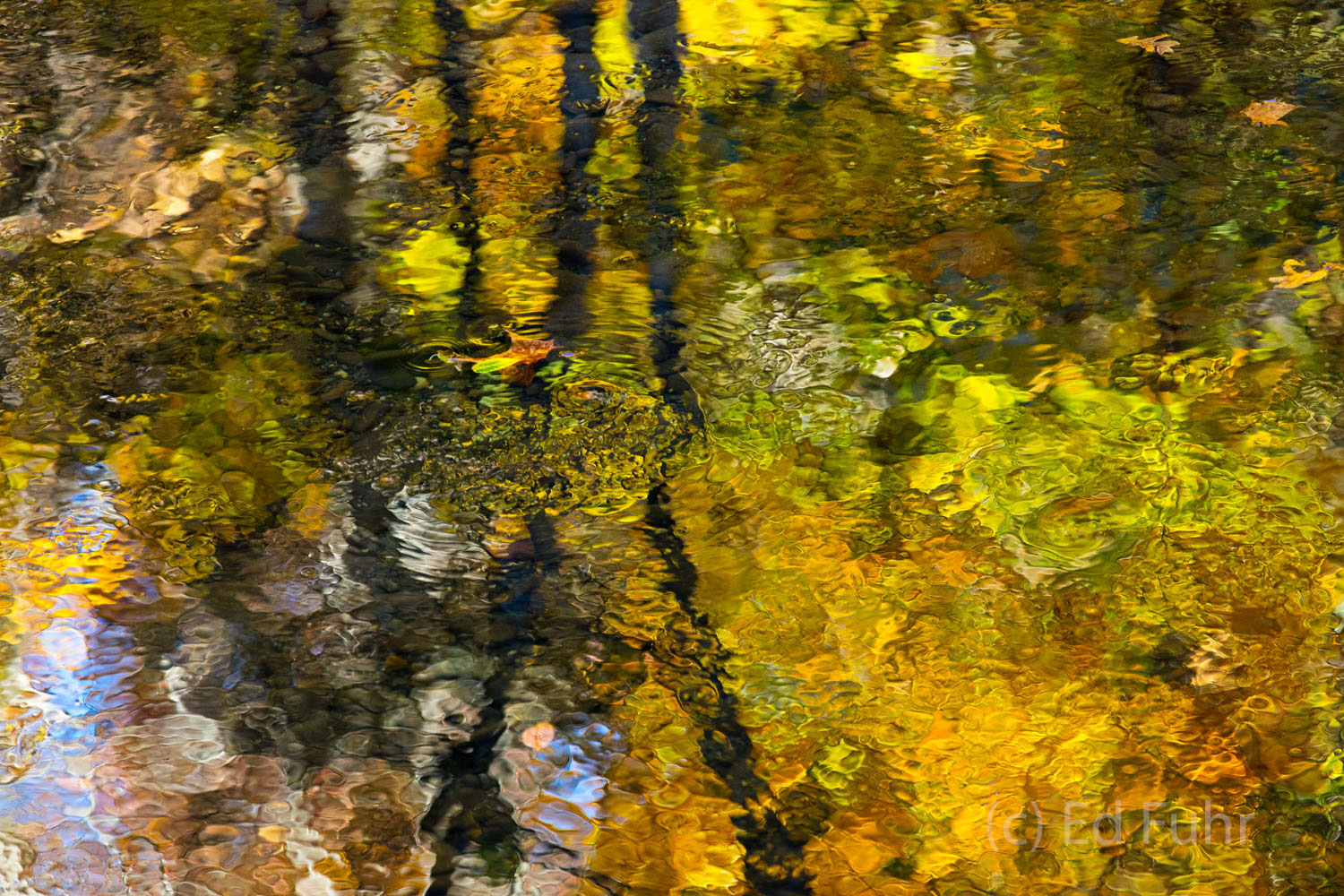 Autumn's splendor reflects in the still waters of the Little River.