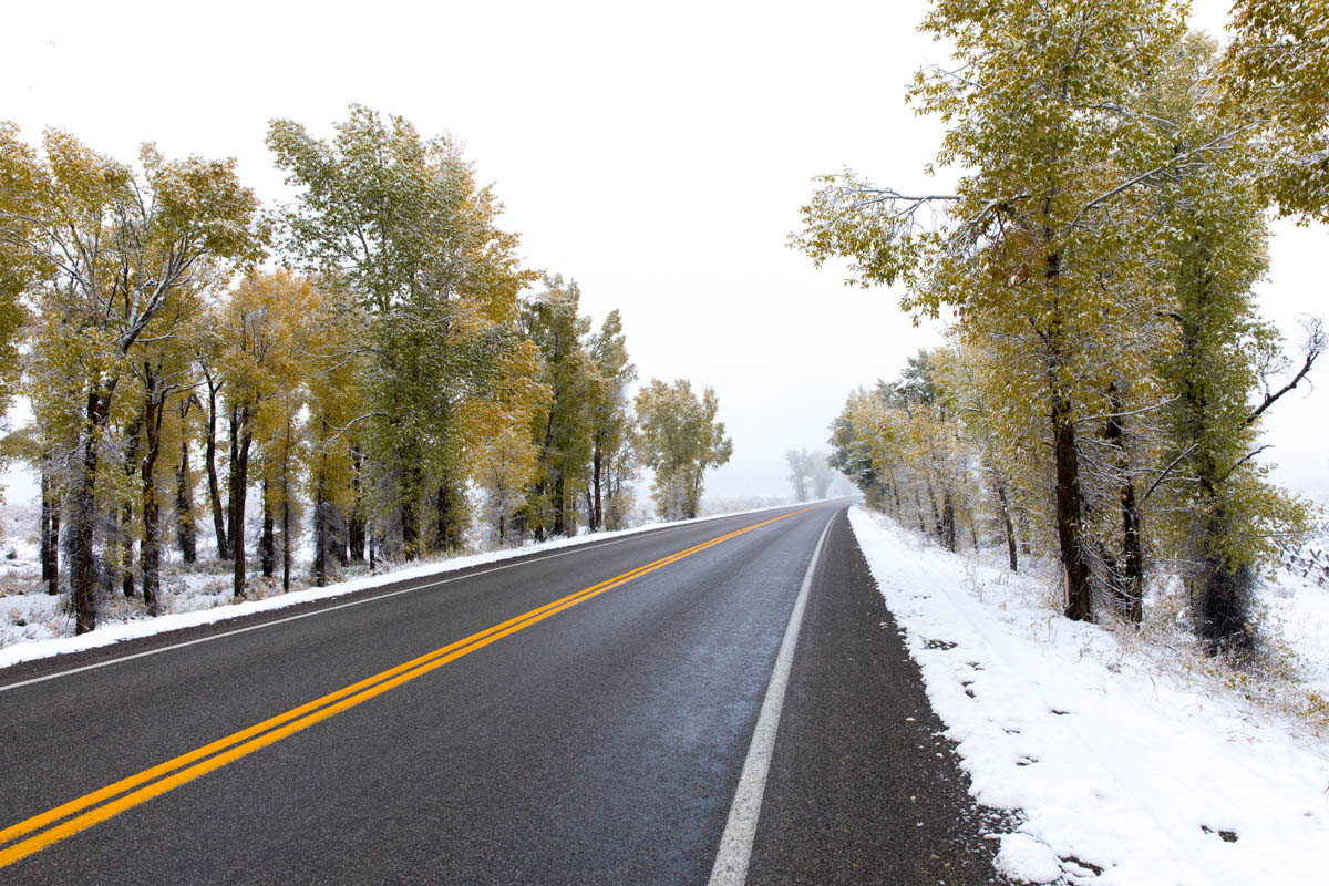 The snow may still be melting on the road but it has begun to accumulate on the cottonwoods and fence rails, on the roadsides...