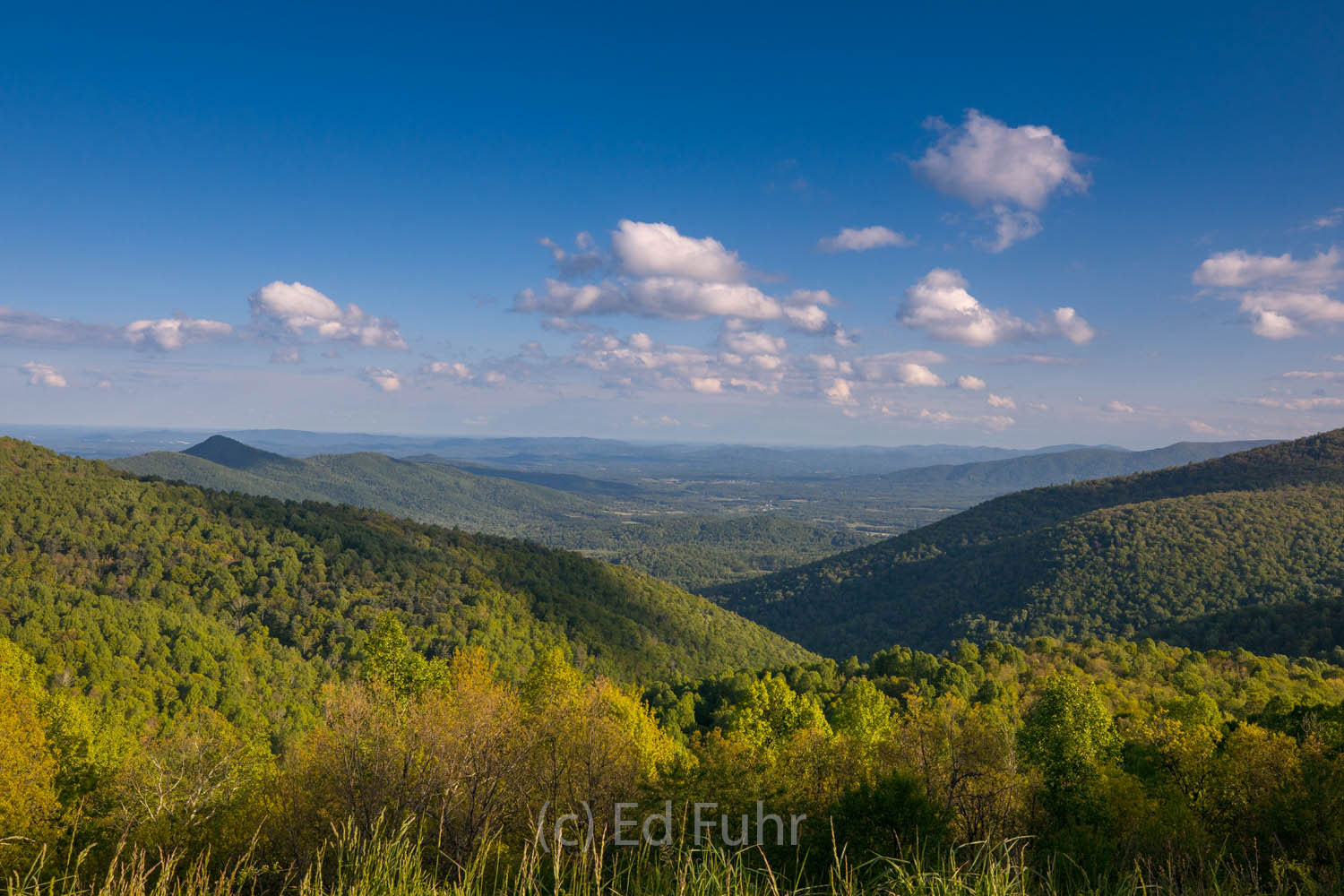 One of the great eastern overlooks in the southern district of Shenandoah National Park.