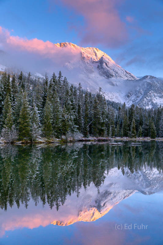 Mount Moran reflects in fresh snow and the pink of early morning above String Lake.