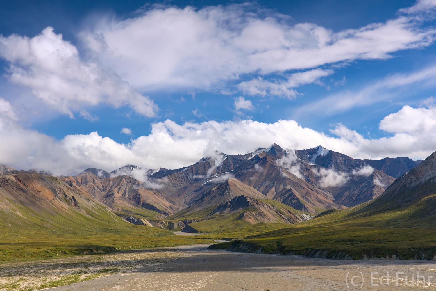 Denali National Park is amazing not only because of its massive mountains but also because of its massive, rich valleys that...