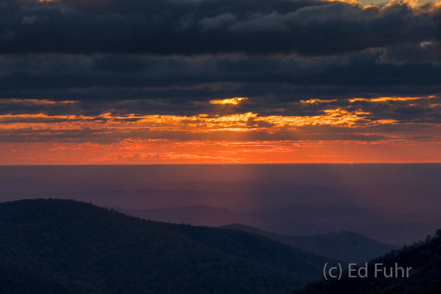 Sunrise After the Storm The Sun rises over the Piedmont, soon to disappear behind a bank of storm clouds.