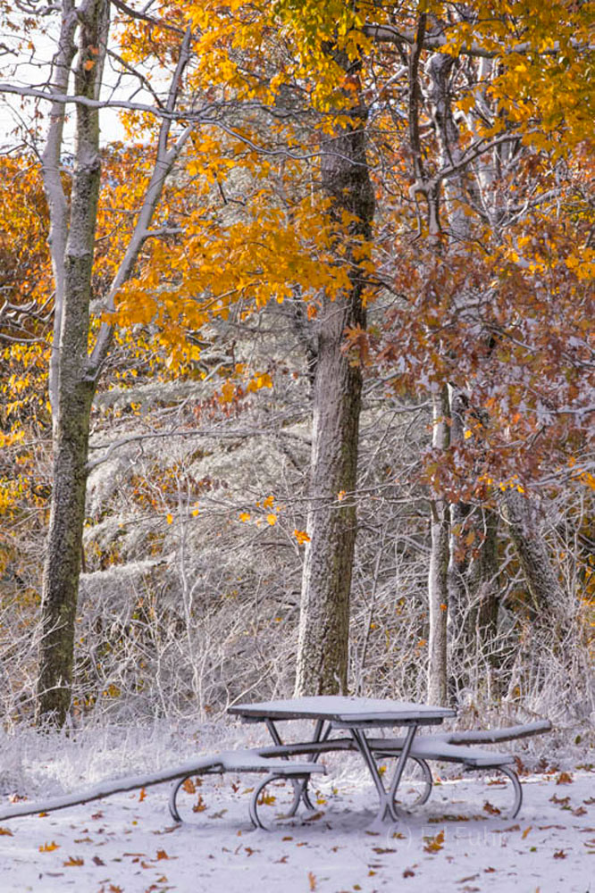 There is a feeling of loss.  The seasons are changing and a picnic table, dusted n a light snow, stands deserted beneath some...
