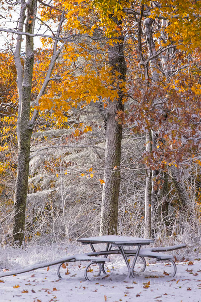 Time for a Picnic There is a feeling of loss. The seasons are changing and a picnic table, dusted n a light snow, stands deserted beneath some...