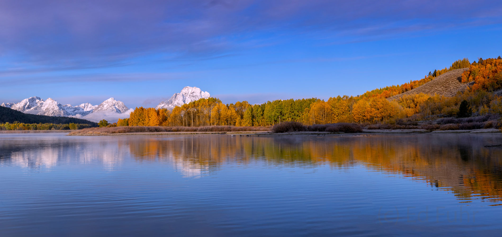 The aspen are peaking around the still waters of the Snake RIver at Oxbow Bend.  Light night brought fresh snow to Mount Moran...