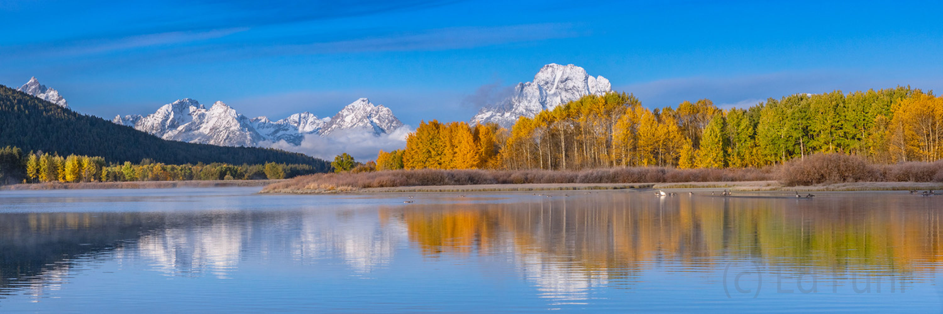 Autumn sunrise at Oxbow Bend with the aspen peaking and fresh snow on Mount Moran make for a magical morning to remember.