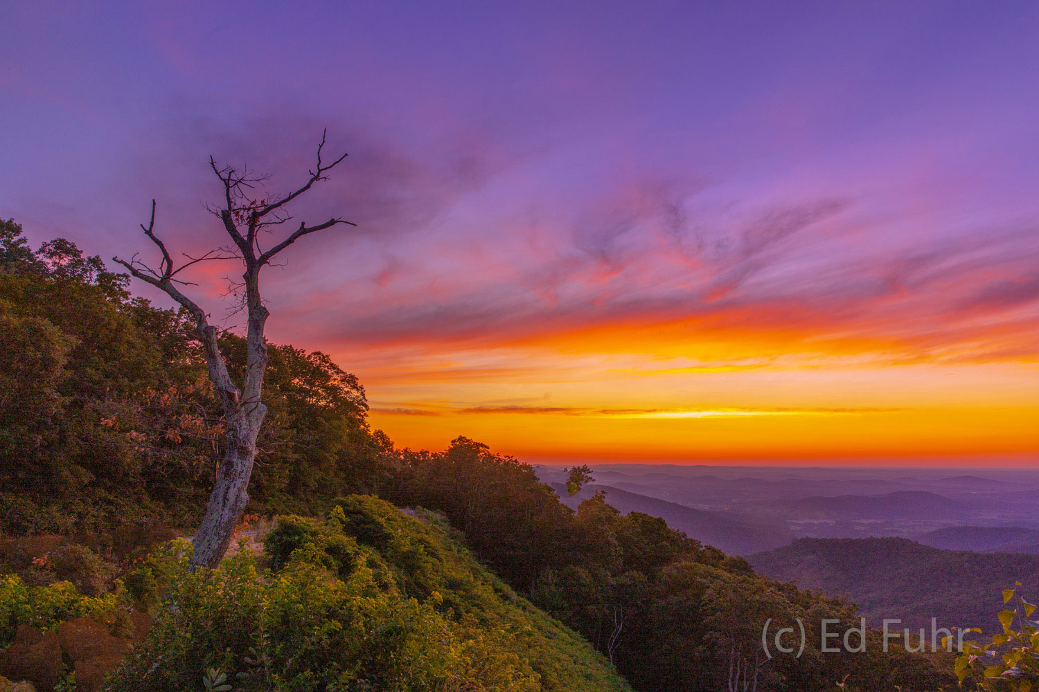 Hazel Mountain Dawn Sunrise at Hazel Mountain Overlook.