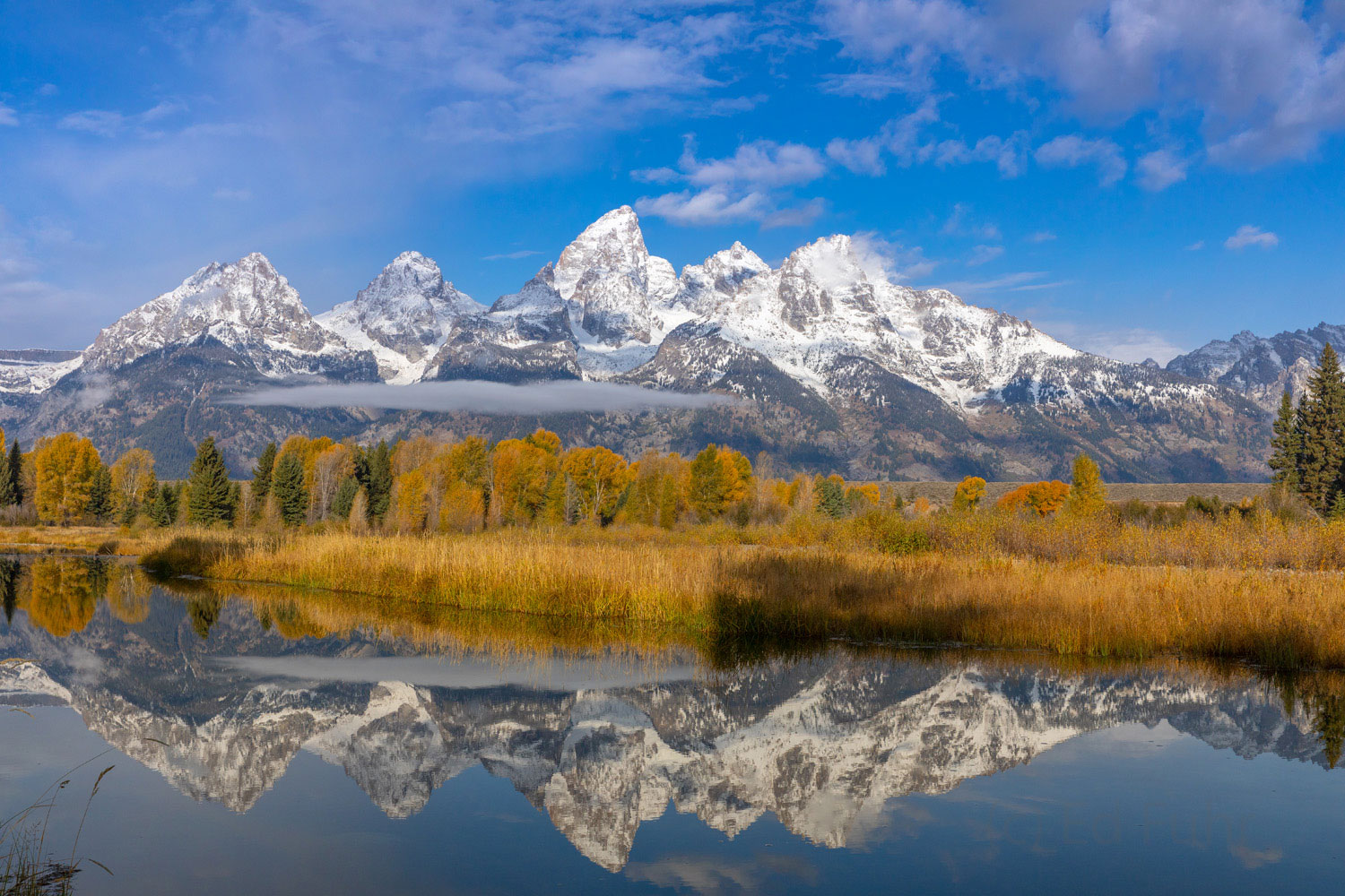 The Teton range, coated in a fresh snow, and the nearby aspen reflect in the still waters near Schwabacher's Landing.