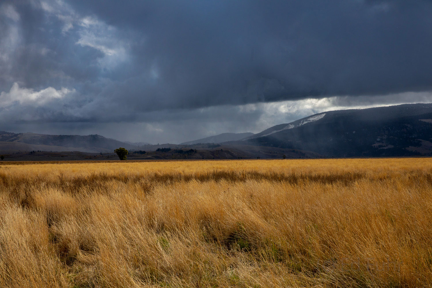 Approaching First Storm Autumn gives gives way quickly to winter as a winter storm approaches on the wind.