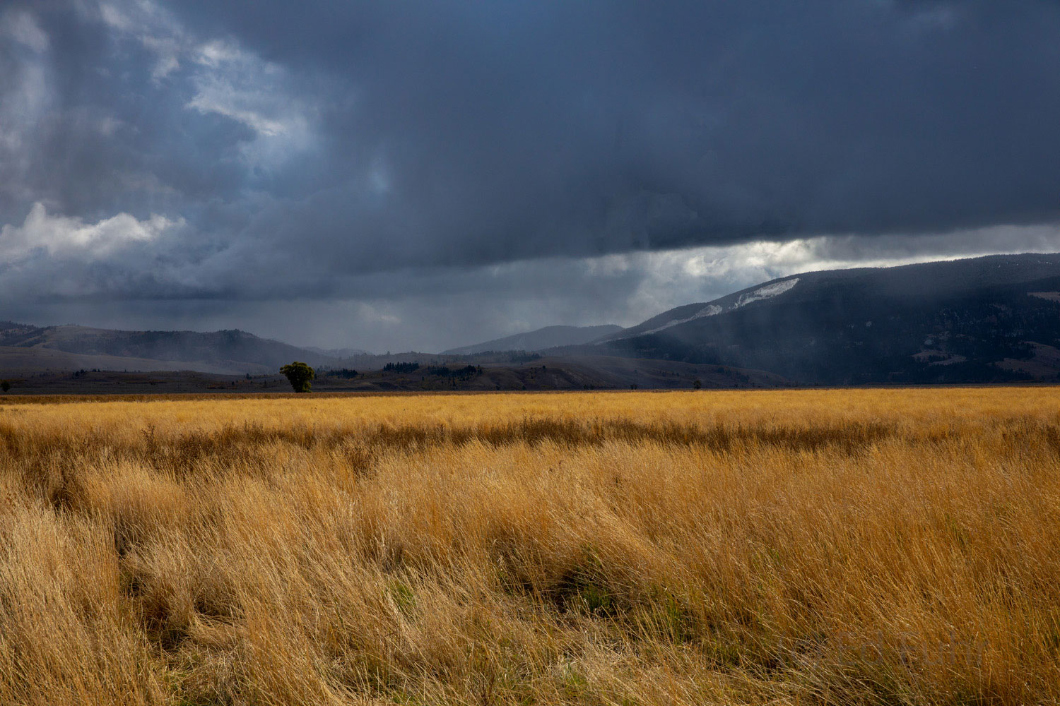 Autumn gives gives way quickly to winter as a winter storm approaches on the wind.