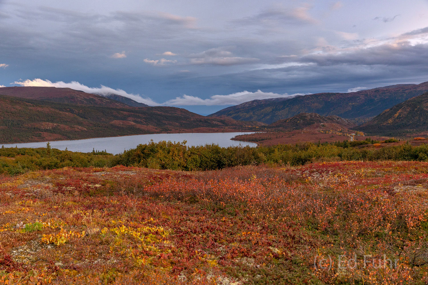 Autumn Valley by Wonder Lake Banked by vast fields of blueberries, turned red by autmn's chill, Wonder Lake stretches to Denali.