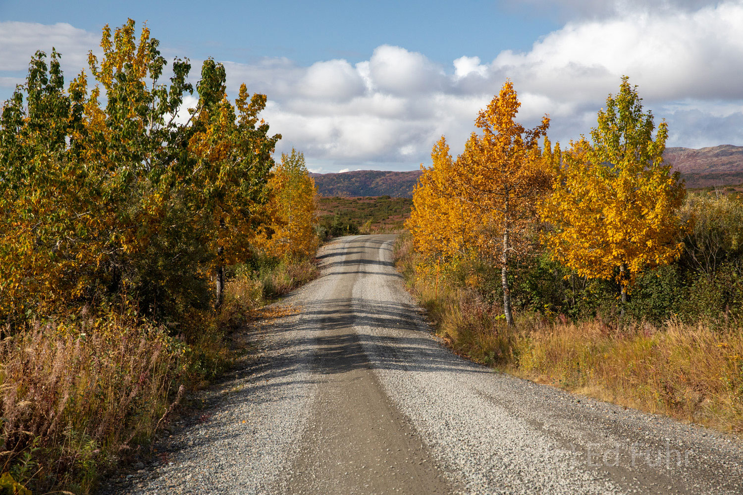 Fall Along the Park Road Denali Park Road in fall