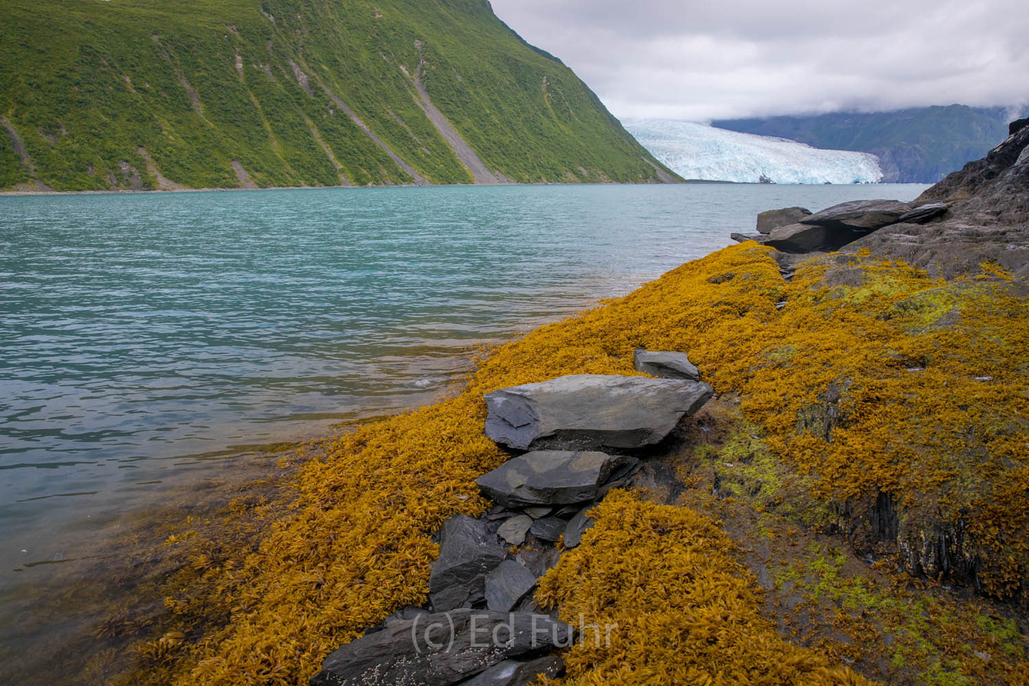 A beautiful resting spot for a kayak trip to Aialik Glacier.