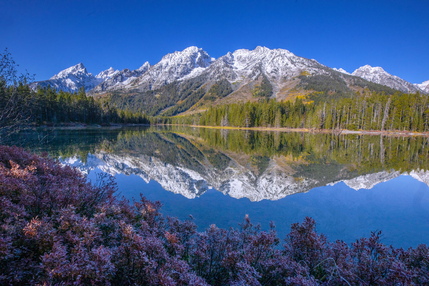Stillness String Lake Reflection, Autumn 2019