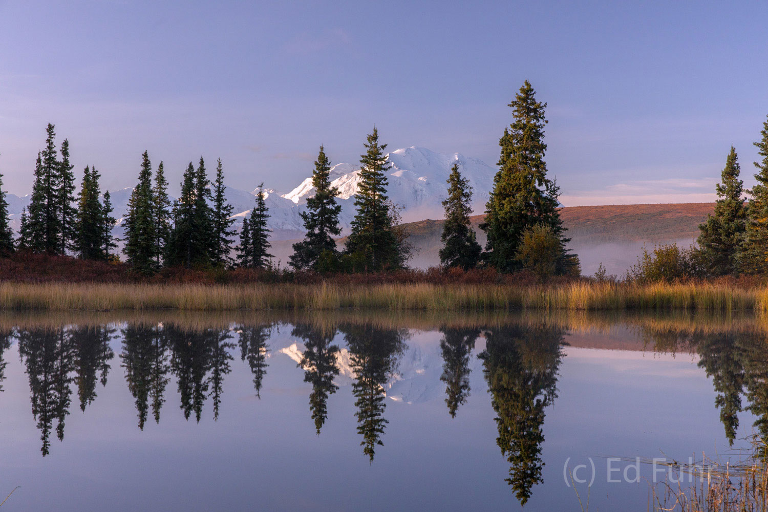 Denali reflects in Nugget Pond