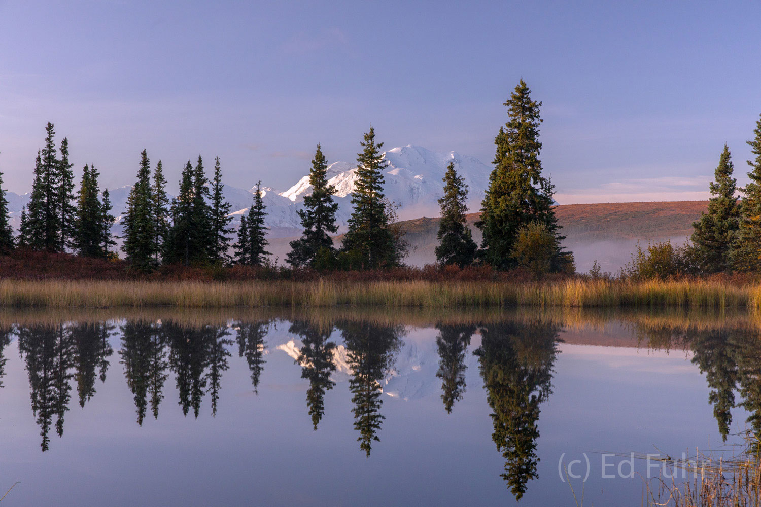 Early Morning on Nugget Pond Denali reflects in Nugget Pond